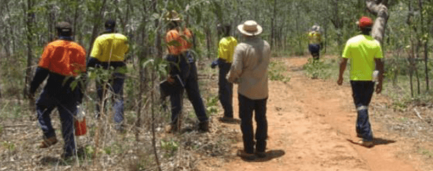 Sheffield Thunderbird update Sheffield Thunderbird update